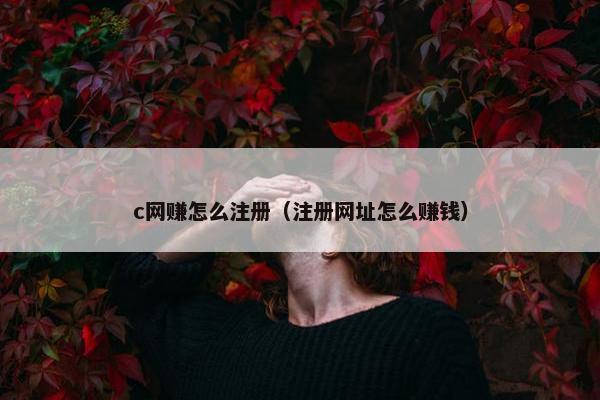 c网赚怎么注册（注册网址怎么赚钱）
