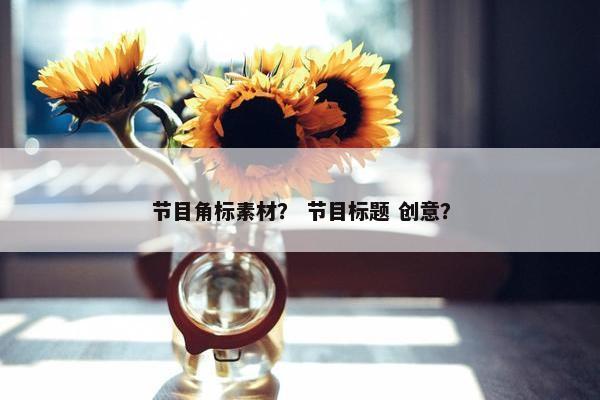 节目角标素材？ 节目标题 创意？
