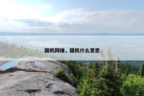 国机网赚，国机什么意思