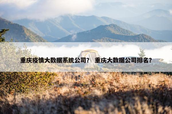 重庆疫情大数据系统公司？ 重庆大数据公司排名？