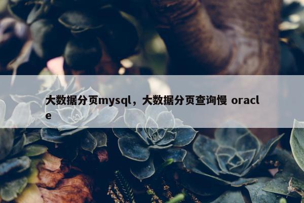 大数据分页mysql，大数据分页查询慢 oracle