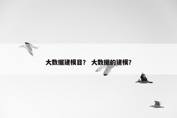 大数据建模目？ 大数据的建模？