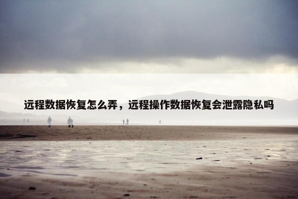 远程数据恢复怎么弄，远程操作数据恢复会泄露隐私吗