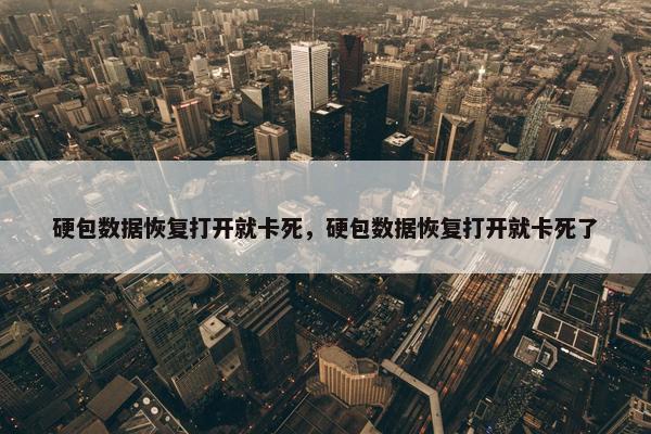 硬包数据恢复打开就卡死，硬包数据恢复打开就卡死了