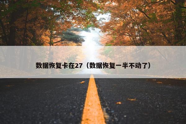 数据恢复卡在27（数据恢复一半不动了）