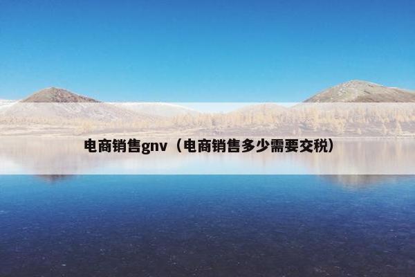 电商销售gnv（电商销售多少需要交税）