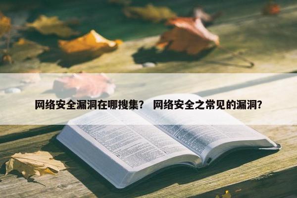 网络安全漏洞在哪搜集？ 网络安全之常见的漏洞？