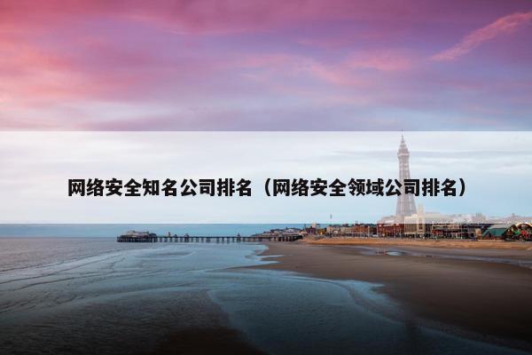 网络安全知名公司排名（网络安全领域公司排名）