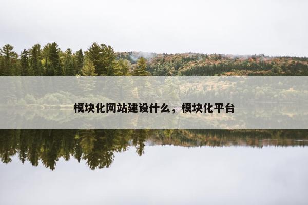 模块化网站建设什么，模块化平台