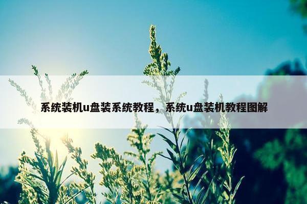 系统装机u盘装系统教程，系统u盘装机教程图解