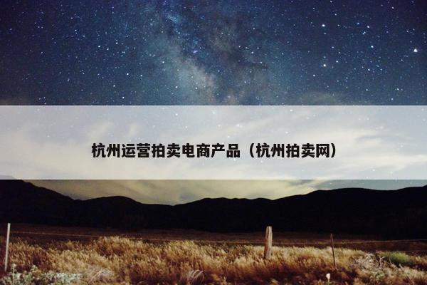 杭州运营拍卖电商产品（杭州拍卖网）