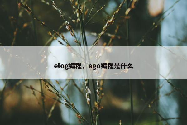 elog编程，ego编程是什么