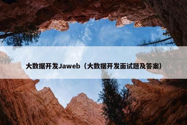 大数据开发Jaweb（大数据开发面试题及答案）