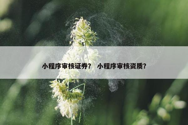 小程序审核证券？ 小程序审核资质？