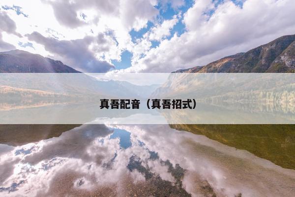 真吾配音（真吾招式）