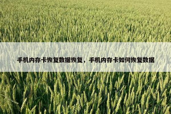 手机内存卡恢复数据恢复，手机内存卡如何恢复数据