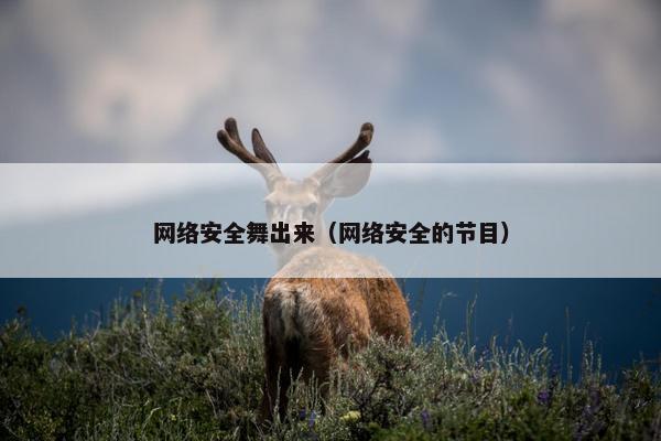 网络安全舞出来（网络安全的节目）