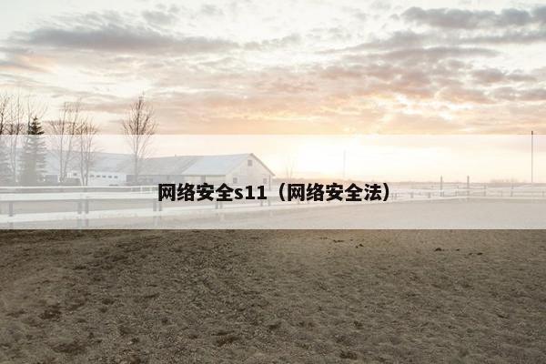 网络安全s11（网络安全法）
