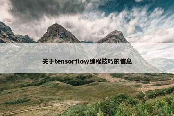 关于tensorflow编程技巧的信息