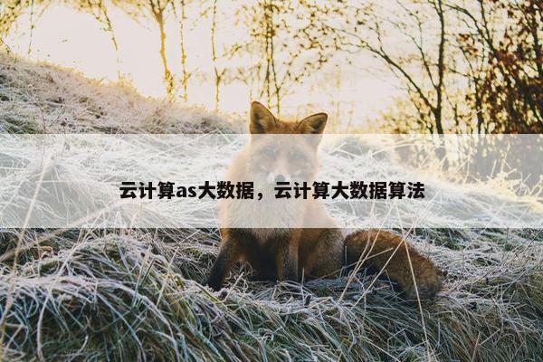 云计算as大数据，云计算大数据算法