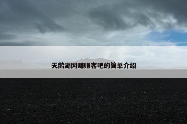 天鹅湖网赚赚客吧的简单介绍