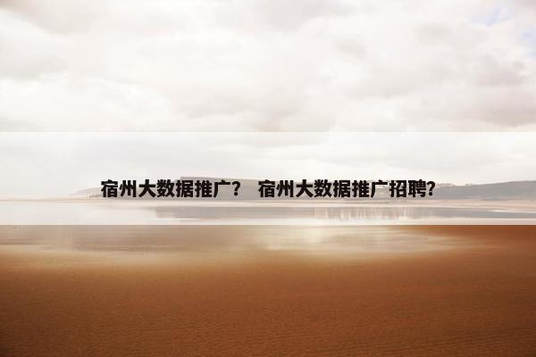 宿州大数据推广？ 宿州大数据推广招聘？