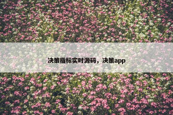 决策指标实时源码，决策app