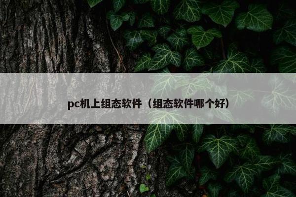 pc机上组态软件（组态软件哪个好）