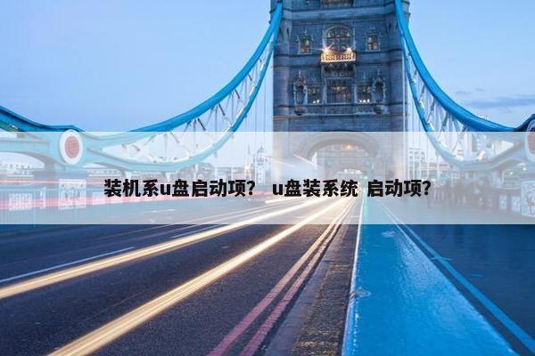 装机系u盘启动项？ u盘装系统 启动项？