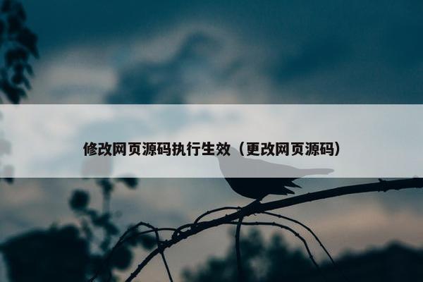 修改网页源码执行生效（更改网页源码）