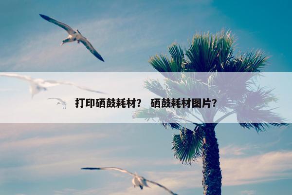 打印硒鼓耗材？ 硒鼓耗材图片？