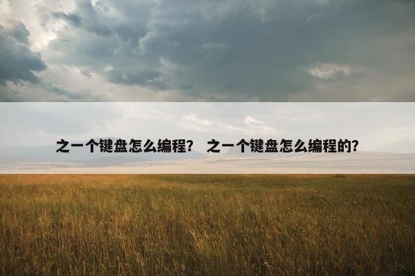 之一个键盘怎么编程？ 之一个键盘怎么编程的？