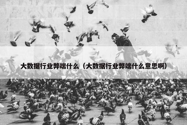 大数据行业弊端什么（大数据行业弊端什么意思啊）