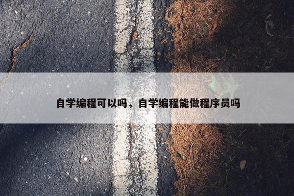自学编程可以吗，自学编程能做程序员吗