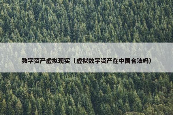 数字资产虚拟现实（虚拟数字资产在中国合法吗）