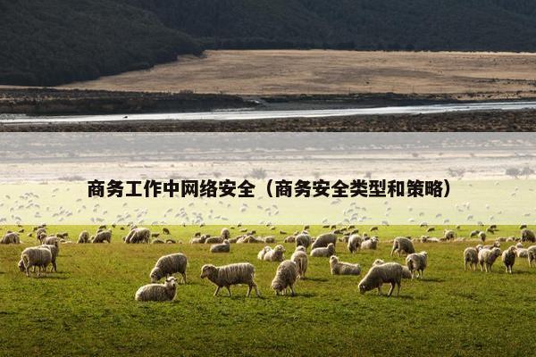 商务工作中网络安全（商务安全类型和策略）
