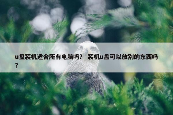 u盘装机适合所有电脑吗？ 装机u盘可以放别的东西吗？