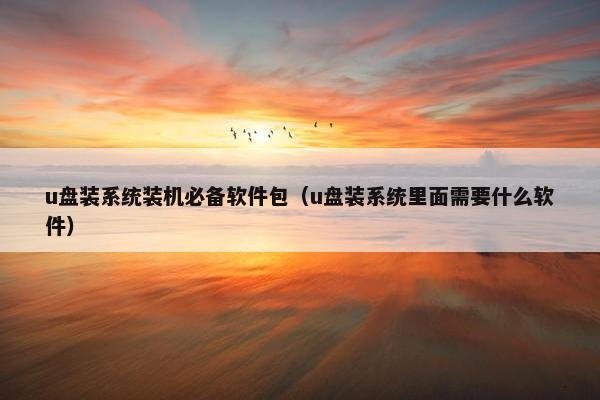 u盘装系统装机必备软件包（u盘装系统里面需要什么软件）