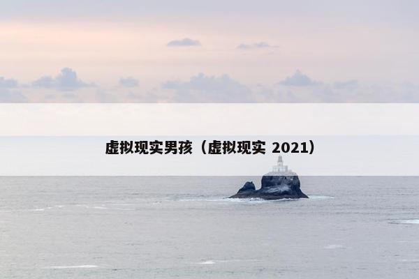 虚拟现实男孩（虚拟现实 2021）