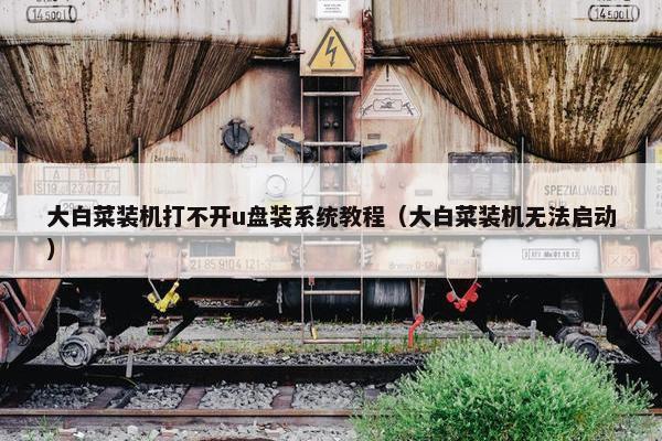 大白菜装机打不开u盘装系统教程（大白菜装机无法启动）