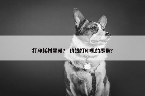 打印耗材墨带？ 价钱打印机的墨带？