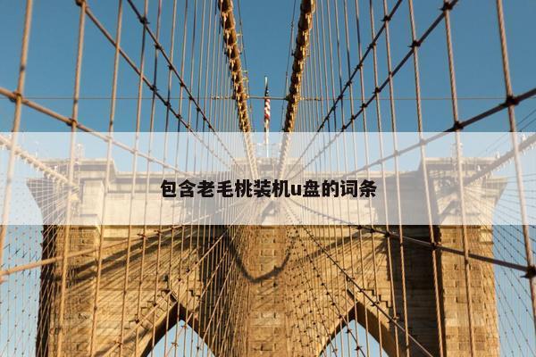 包含老毛桃装机u盘的词条