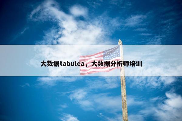 大数据tabulea，大数据分析师培训