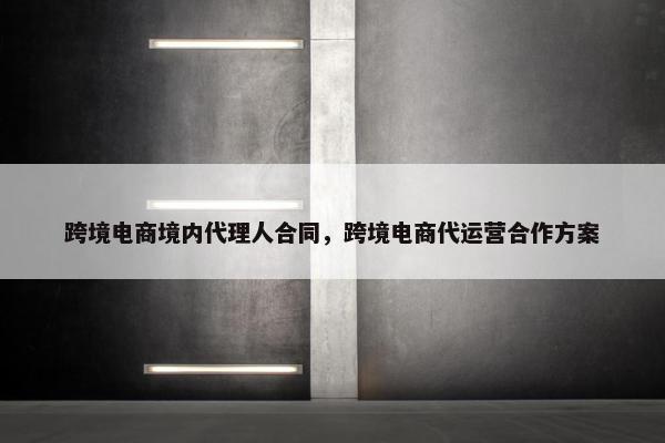 跨境电商境内代理人合同，跨境电商代运营合作方案