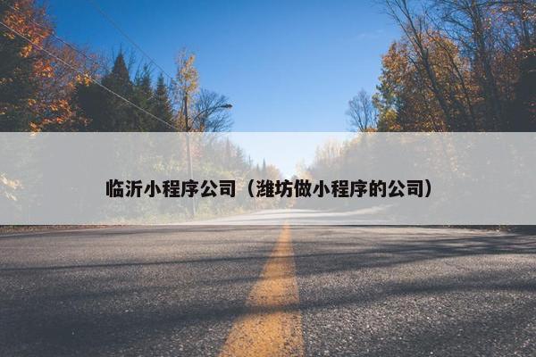 临沂小程序公司（潍坊做小程序的公司）