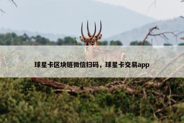 球星卡区块链微信扫码，球星卡交易app