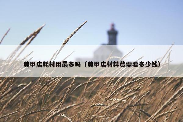 美甲店耗材用最多吗（美甲店材料费需要多少钱）