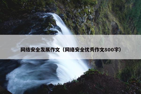 网络安全发展作文（网络安全优秀作文800字）