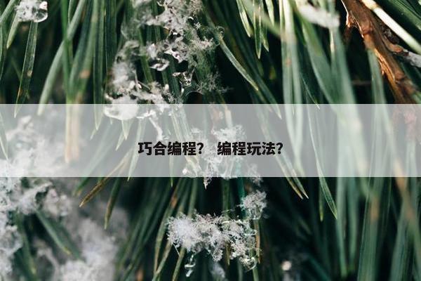 巧合编程？ 编程玩法？