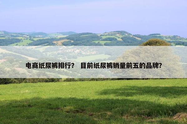 电商纸尿裤排行？ 目前纸尿裤销量前五的品牌？